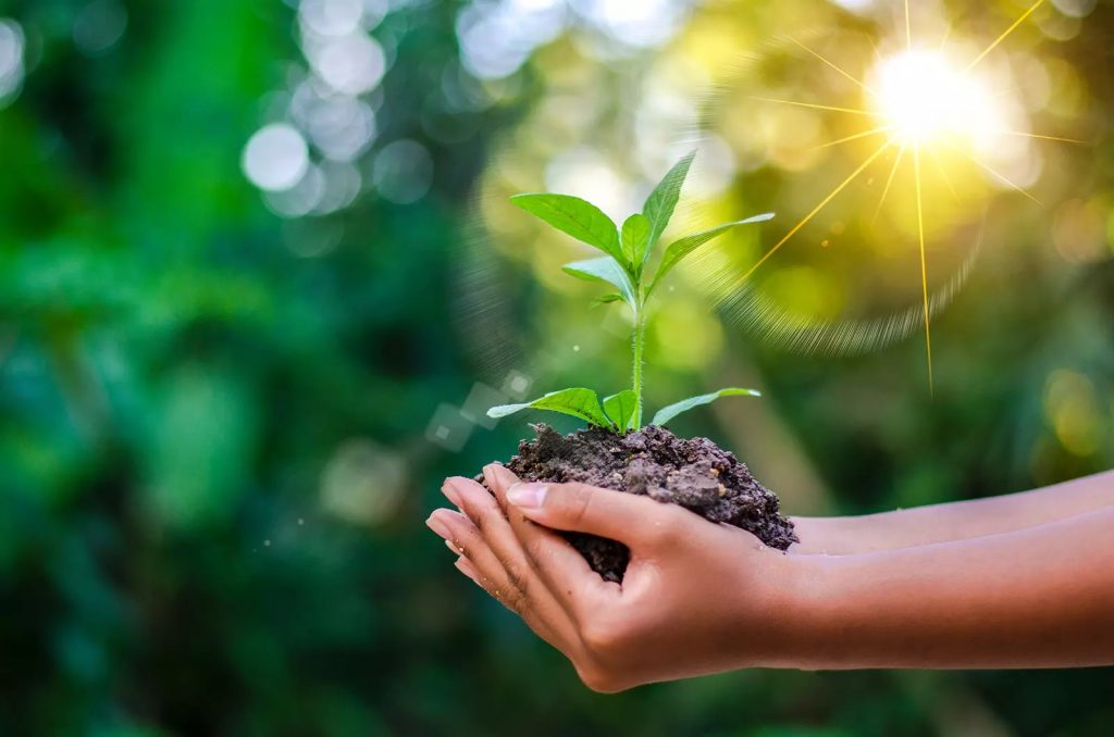 ISO 14001 Environmental Management System (QGOS Registered)